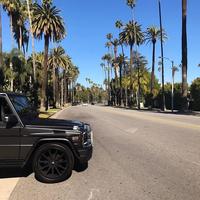 Отзыв от Игорь - виза ДТВ